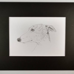 Greyhound Signed Personalized Original Pencil Drawing Matted Print Free Shipping Desert Impressions image 2