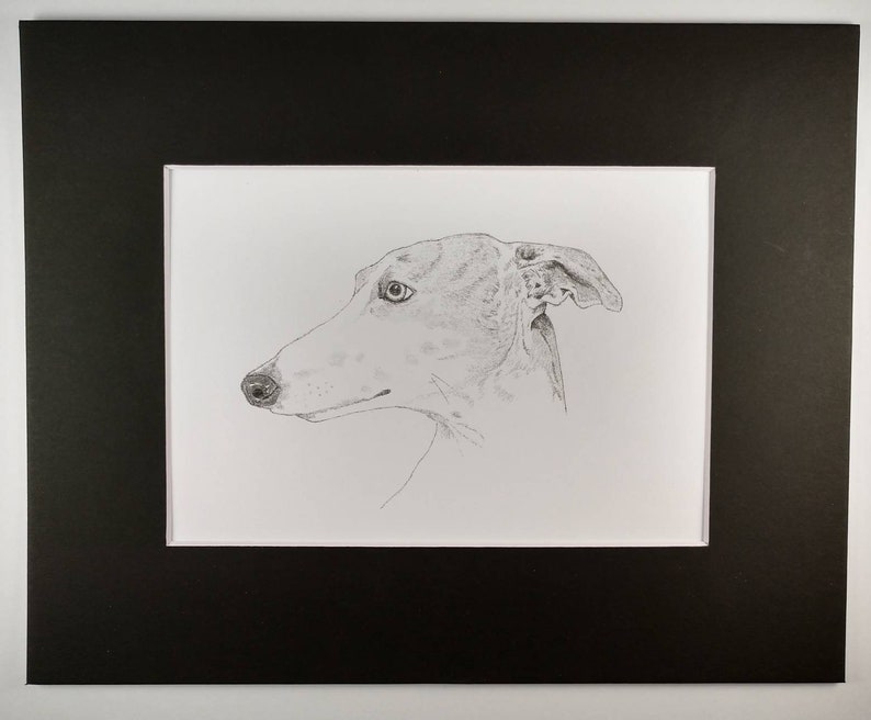 Greyhound Signed Personalized Original Pencil Drawing Matted Print Free Shipping Desert Impressions image 2