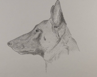 Malinois Signed Personalized Original Pencil Drawing Matted Print -Free Shipping- Desert Impressions