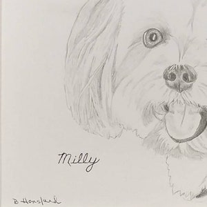 Bearded Collie Signed Personalized Original Pencil Drawing Matted Print Free Shipping Desert Impressions image 3