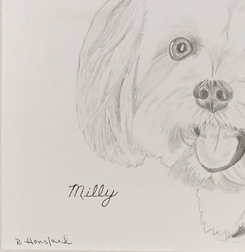 Bearded Collie Signed Personalized Original Pencil Drawing Matted Print Free Shipping Desert Impressions image 3