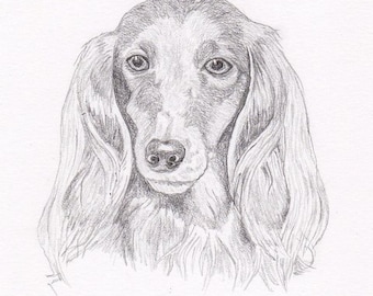 Long Hair Dachshund Signed Personalized Original Pencil Drawing Matted Print -Free Shipping- Desert Impressions