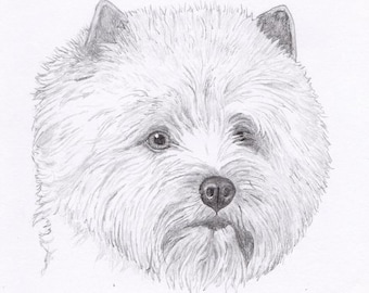 Cairn Terrier Signed Personalized Original Pencil Drawing Matted Print -Free Shipping- Desert Impressions