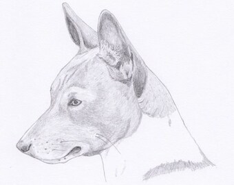 Basenji Signed Personalized Original Pencil Drawing Matted Print -Free Shipping- Desert Impressions