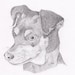 see more listings in the Personalized Dog Prints section