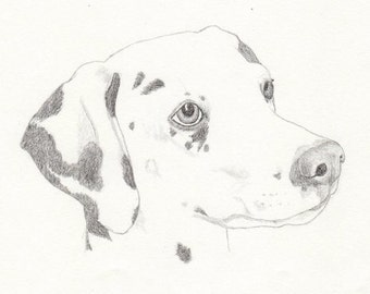 Dalmatian Signed Personalized Original Pencil Drawing Matted Print -Free Shipping- Desert Impressions