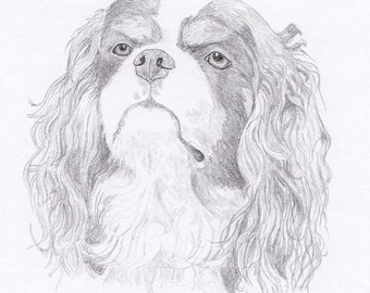 Cavalier King Charles CKC Signed Personalized Original Pencil Drawing Matted Print -Free Shipping- Desert Impressions