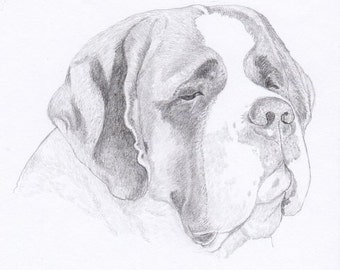 St Bernard Signed Personalized Original Pencil Drawing Matted Print -Free Shipping- Desert Impressions