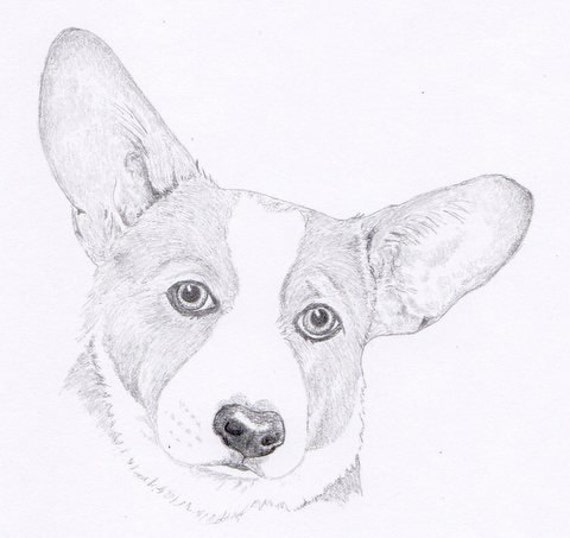 Corgi Signed Personalized Original Pencil Drawing Matted Print -Free  Shipping- Desert Impressions