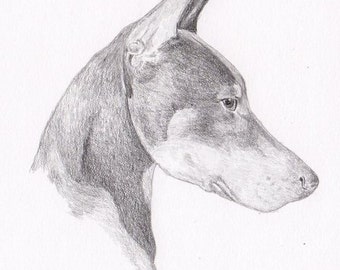 Doberman Pinscher Signed Personalized Original Pencil Drawing Matted Print -Free Shipping- Desert Impressions