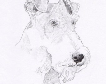 Wire Fox Terrier Signed Personalized Original Pencil Drawing Matted Print -Free Shipping- Desert Impressions