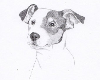 Jack Russell Signed Personalized Original Pencil Drawing Matted Print -Free Shipping- Desert Impressions