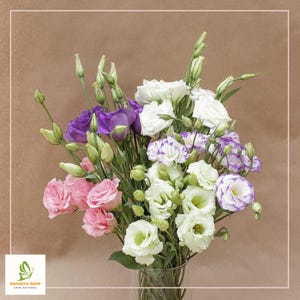100 Lisianthus Seeds - Stunning Garden Blooms, Heirloom & Non-GMO! Free Shipping