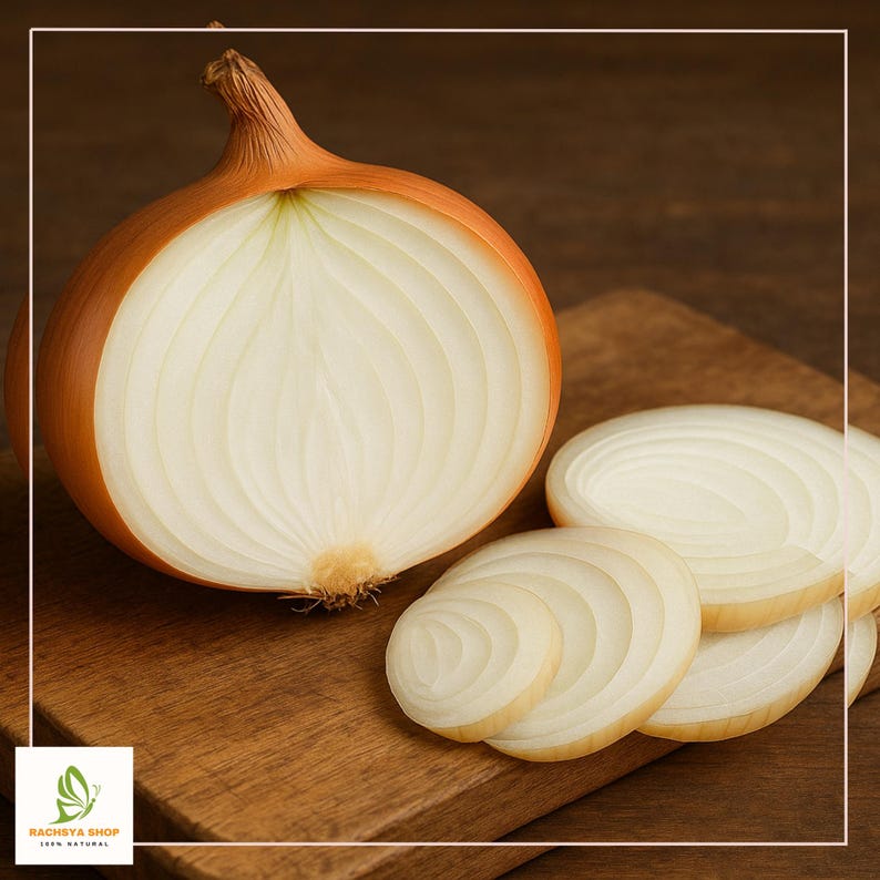 RachsyaShop Kelsae Sweet Onion Seeds