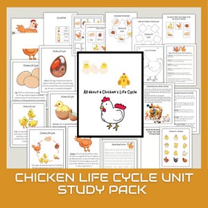 May include: A colorful printable pack for teaching children about the life cycle of a chicken. The pack includes worksheets, activities, and a story about a chicken. The title of the pack is "All about a Chicken's Life Cycle".