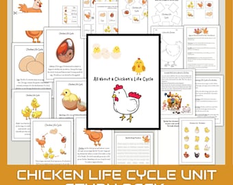 Chicken Unit Study Homeschool Summer Activities chicken and chick Life Cycle & Anatomy Learning Bundle Nature Study Science Homeschooling