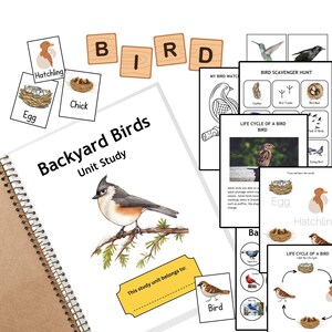Può includere: Uno studio unitario stampabile colorato sugli uccelli del cortile. L'unità include una pagina del titolo, un diagramma del ciclo di vita di un uccello, una caccia al tesoro degli uccelli e una pagina 'La mia osservazione degli uccelli'. L'unità include anche un set di carte stampabili con immagini di uccelli, uova e pulcini.