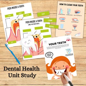 May include: A colourful educational printable set for teaching children about dental health. The set includes illustrations of a tooth, a smiling child, and instructions on how to clean teeth. The text includes the words "Peek Inside a Tooth", "Label the Tooth Parts", "How to Clean Your Teeth", "Your Teeth", "Help me brush my teeth!" and "Use a toothbrush to clean my teeth!"