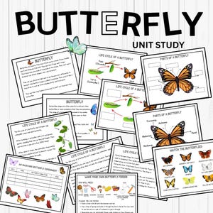 May include: A colorful educational printable pack about butterflies. The pack includes a life cycle of a butterfly chart, parts of a butterfly chart, and a butterfly matching game. The pack also includes a butterfly experiment chart and instructions for making a butterfly feeder.