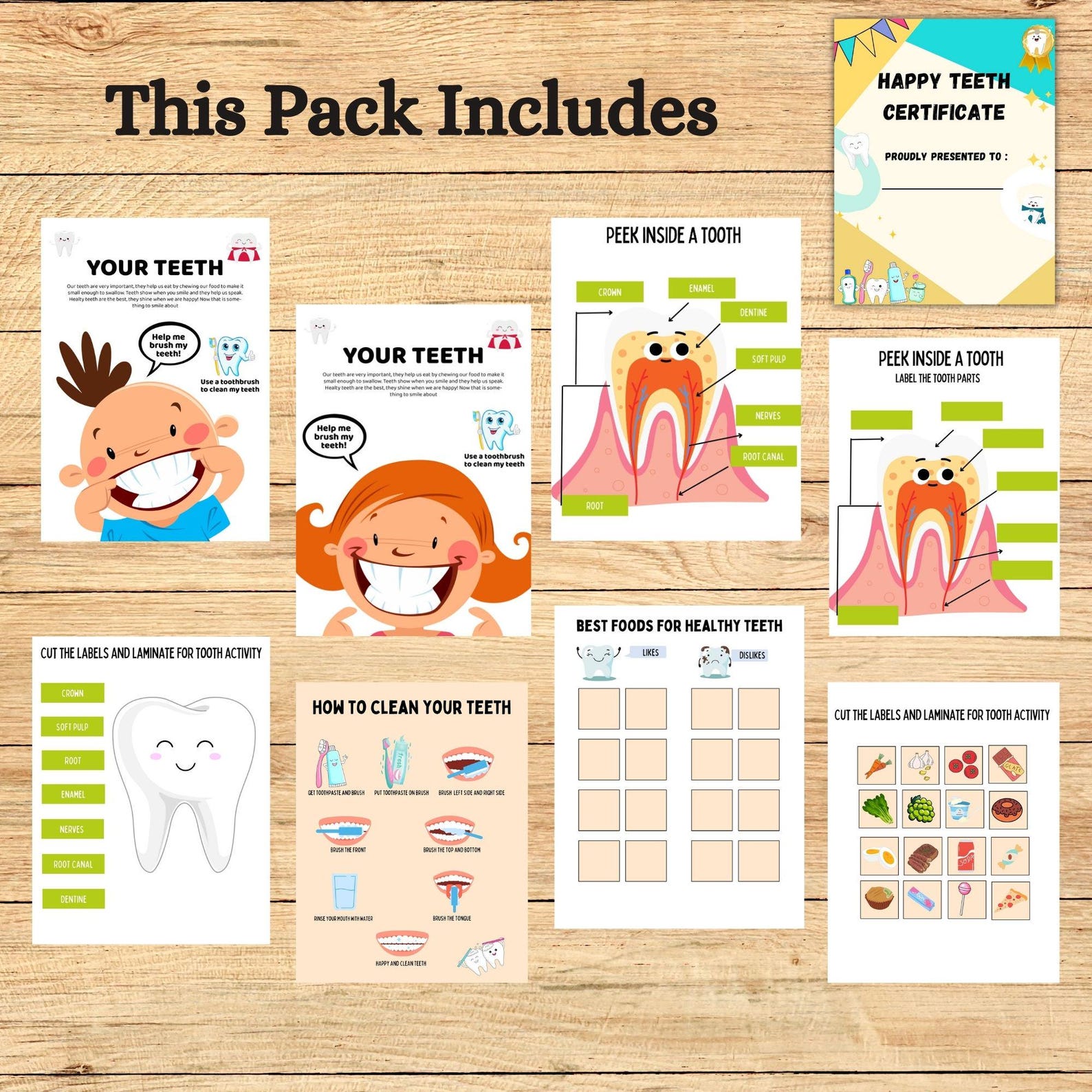 Dental Health Kids Busy Book Printable Human Tooth Anatomy Worksheet ...