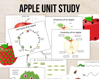 APPLE Unit Study Life Cycle Anatomy Nature Study Kindergarten Science Montessori Kids Activities Counting Cut and Paste Activities