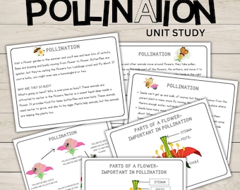 Pollination Flower Unit Study Bundle Anatomy of a Flower Charlotte Mason Nature Study Learning Activities for Preschool Educational Material