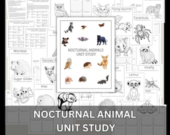 Nocturnal Animals Unit Study Printable Bundle Early Reader Animal Research Montessori Nature Study Animals Coloring 1st Grade 2nd Grade