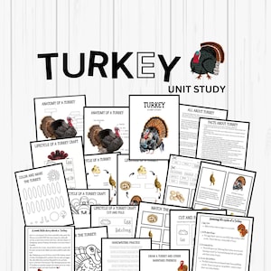 Op de afbeelding: Een verzameling educatieve printables voor een les over kalkoenen. De materialen omvatten pagina's over anatomie, levenscyclus, knutselwerkjes en feiten. Het woord "TURKEY" staat groot afgebeeld.