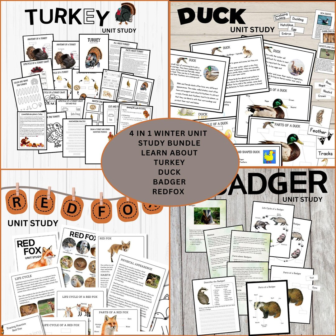 4 in 1 Winter Animal Unit Study Bundle | Badger, Turkey, Duck & Red Fox ...