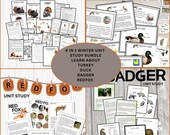4 in 1 Winter Animal Unit Study Bundle | Badger, Turkey, Duck & Red Fox | Homeschool Science Worksheets | Nature Study Printables for Kids