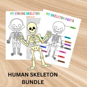 Human Skeleton Anatomy Busy Book Skeleton Study Printable Kids Learning Activity Moving Skeleton Parts Worksheet Homeschool Resource Kids
