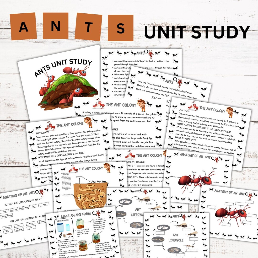 Ant Unit Study Homeschool Learning Material Charlotte Mason Preschool ...
