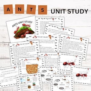 May include: A collection of educational printables for an ant unit study. The materials include illustrated worksheets with text, diagrams, and the words "ANTS UNIT STUDY", "THE ANT COLONY", and "ANATOMY OF AN ANT".