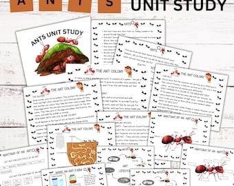 Ant Unit Study Homeschool Learning Material Charlotte Mason Preschool Nature Study Anatomy of an Ant Lifecycle Ant Farm Preschool Homeschool