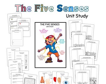 Science Curriculum Five Senses Unit Study Homeschooling Preschool Learning Binder Interactive Science Unit Study Homeschool Resources Kids