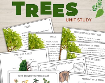 Tree Unit Study Bundle Charlotte Mason Nature Study Anatomy of a Trunk Parts of a Tree Homeschool Printable Learning Activities Printable