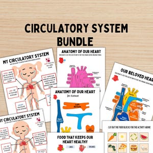 Human Anatomy Study Bundle Kids Circulatory System Heart Unit Study Homeschool Resource Montessori Material Kids Learning Binder Anatomy
