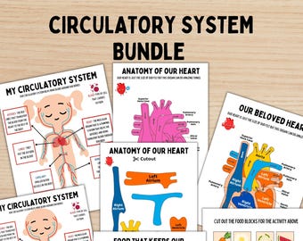 Human Anatomy Study Bundle Kids Circulatory System Heart Unit Study Homeschool Resource Montessori Material Kids Learning Binder Anatomy