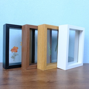 May include: Four shadow box frames in black, brown, light wood, and white. Each frame has a clear glass front and contains a pressed botanical element. The frames are displayed on a wooden surface against a light blue wall.