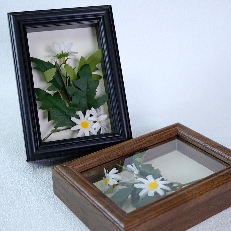 May include: Two framed floral arrangements. One frame is black, the other is brown. Both frames contain white daisies and green leaves. The frames are rectangular with a glass front, showcasing the botanical display.