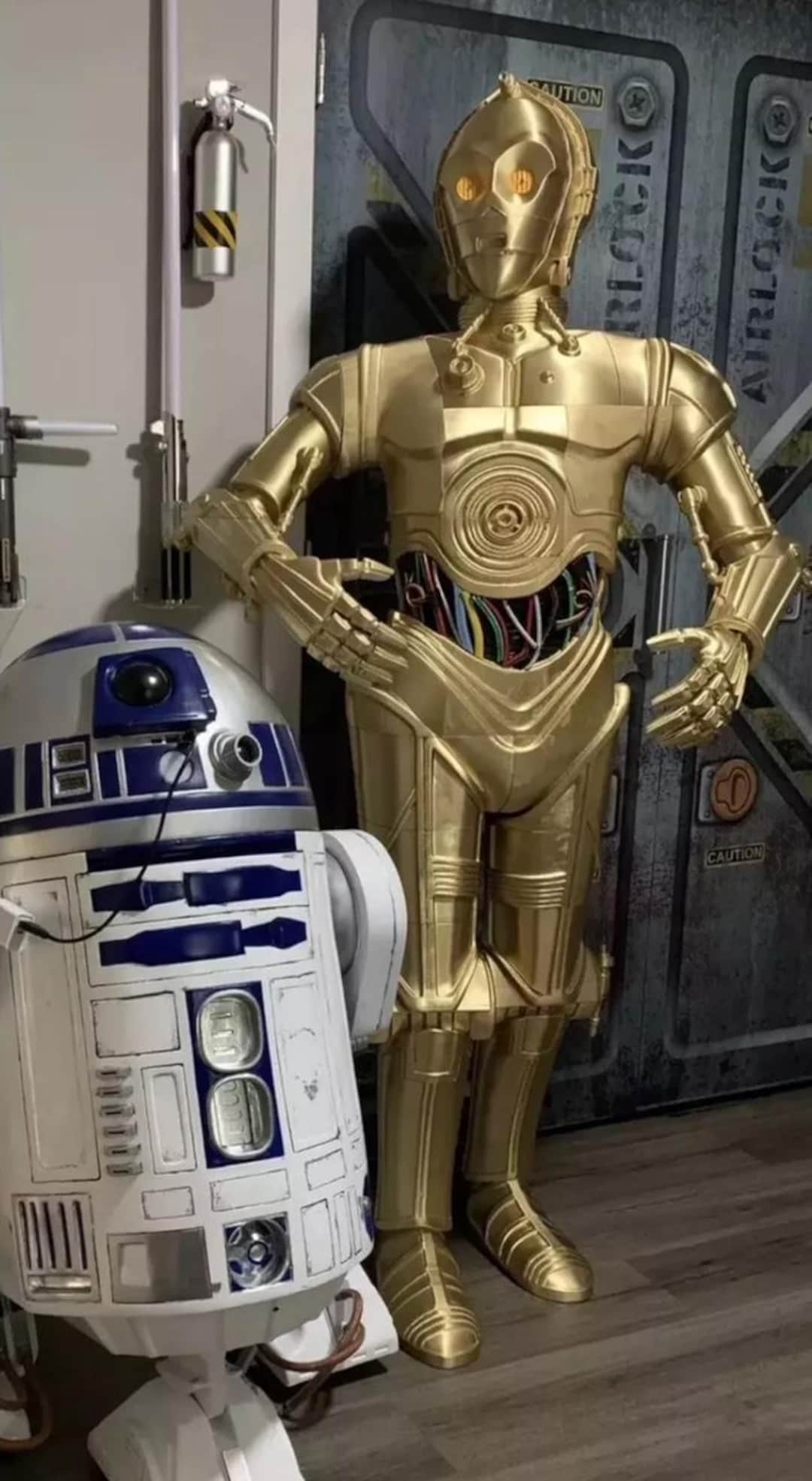 Star Wars C3PO Life Size DIY Model