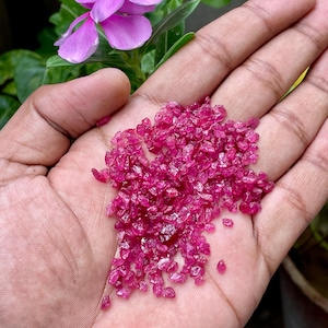 May include: A handful of small, rough-cut, ruby-colored gemstones. The gemstones are scattered across an open palm, with a blurred background of green leaves and a pink flower.