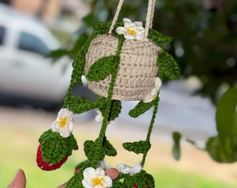 Strawberry and Daisy hanging pot Crochet yarn