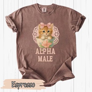 Comfort Colors Alpha Male Funny Kitty shirt, Funny Cat Meme Shirt, Punny weird Boyfriend Gifts, Father Gift, Mom Tee, Cat Lover, Cat Gift