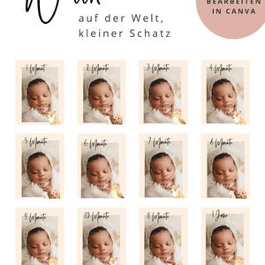 MODÈLE CANVA Cartes d'étape bébé unisexe 1 - 12 mois avec photo avec renard, hibou et hérisson