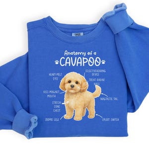 May include: A blue sweatshirt featuring a diagram of a Cavapoo dog, labelled with humorous anatomical terms. The text "Anatomy of a Cavapoo" is above the illustration. The sweatshirt is a vibrant shade of blue.