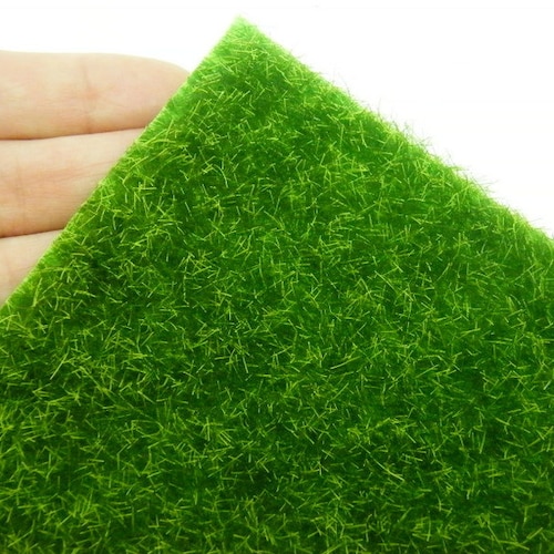 1 Green Lawn Grass It's Not Always Greener on the Other - Etsy