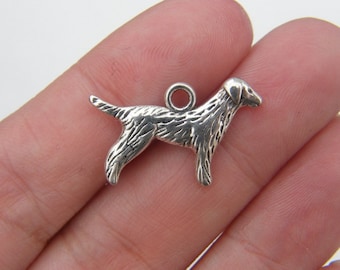 12 pingentes de cachorro em prata tibetana A788