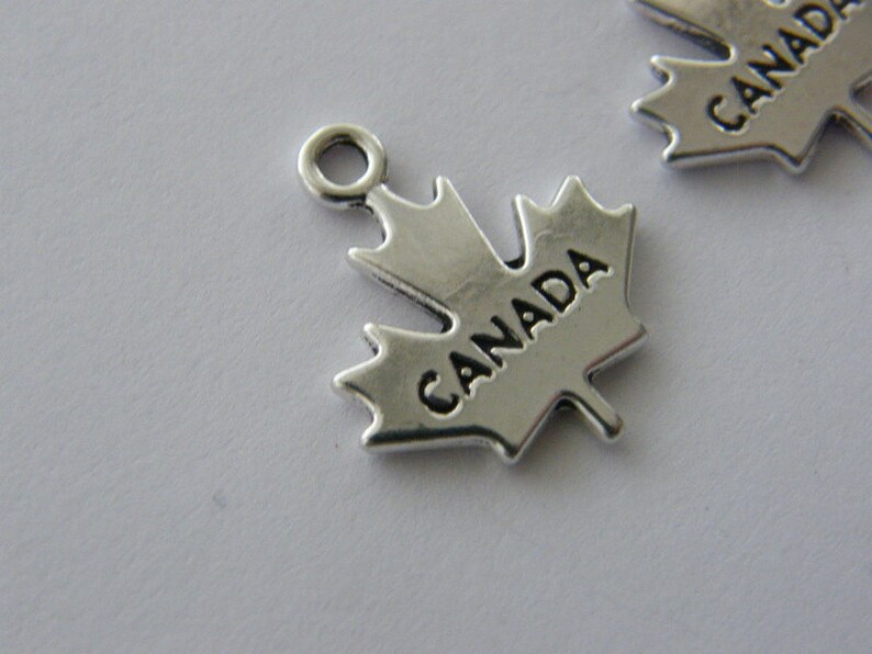 BULK 20 Canada charms antique silver tone WT103
