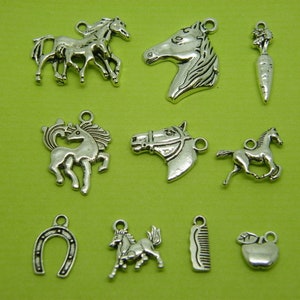 The Horse Charms Collection - 10 diferentes dijes en tono plateado antiguo